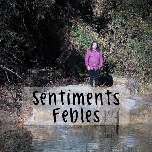 Sentiments Febles (Llibre)