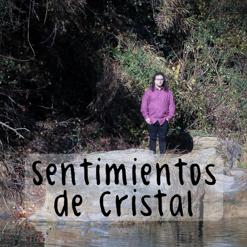 Sentimientos de Cristal (Libro)